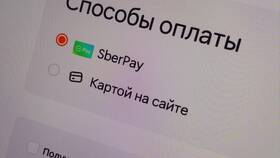 Безналичная оплата в пиццериях Додо