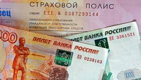 Что дают за езду без страховки в Дети