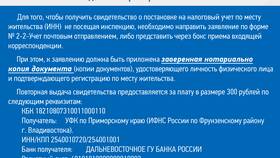 Что нужно для получения ИНН в налоговой в Дети