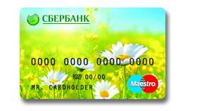 Что такое Пенсионный Плюс в Сбербанке в Дети