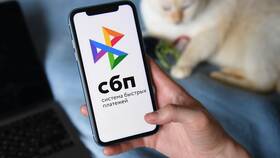 Что такое система мгновенных платежей