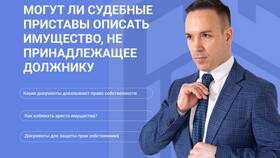 Как быстро приставы накладывают арест на имущество в Дети