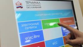 Как через СНИЛС узнать человека в Дети