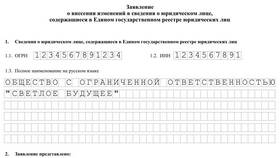 Как изменить вид деятельности ООО: пошаговая инструкция в Дети
