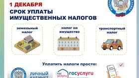 Как оплатить имущественные платежи в Дети