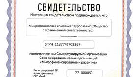 Как оплатить займ в Турбозайм в Дети
