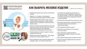 Как правильно выбрать продавца в Дети