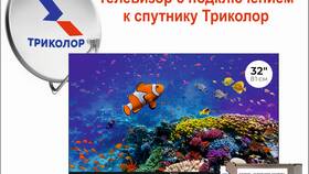 Как установить приложение Триколор на телефон в Дети