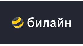 Как узнать номер телефона Билайн с помощью USSD-команд в Дети
