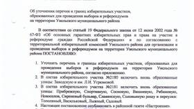 Организация и проведение выборов: основные элементы в Дети
