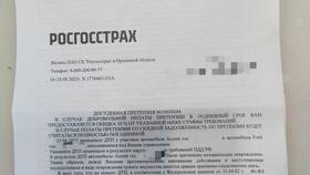 ОСАГО: Росгосстрах или другие страховщики - что лучше? в Дети