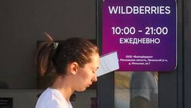 Почему удалили Wildberries: возможные причины в Дети