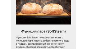 Розетка-тарелка: назначение и особенности в Дети