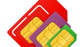 Сколько номеров может быть на одной SIM-карте МТС в Дети