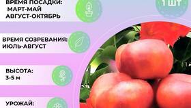 Вес донатов в Пятерочке